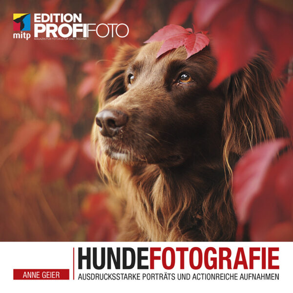 Hunde­foto­grafie